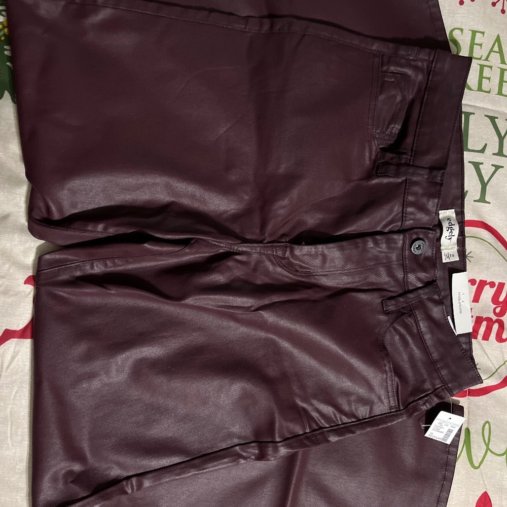 Edgely faux leather pants